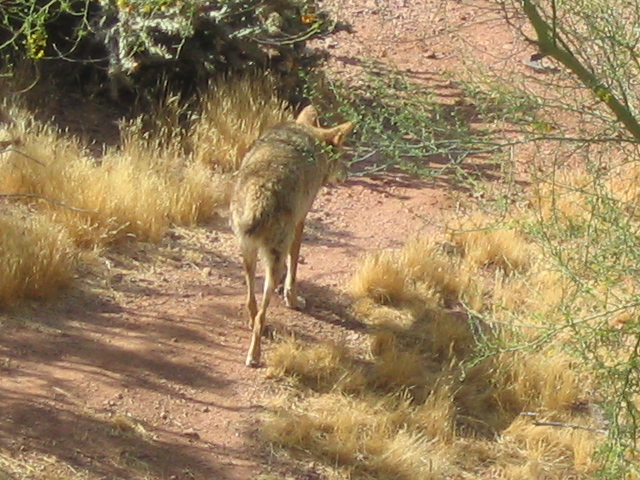 618x457 pixels (238K)